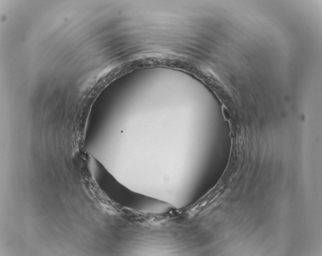 X0000088090822200706011601