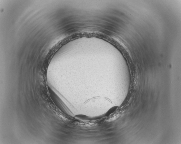 X0000088090823200706011601