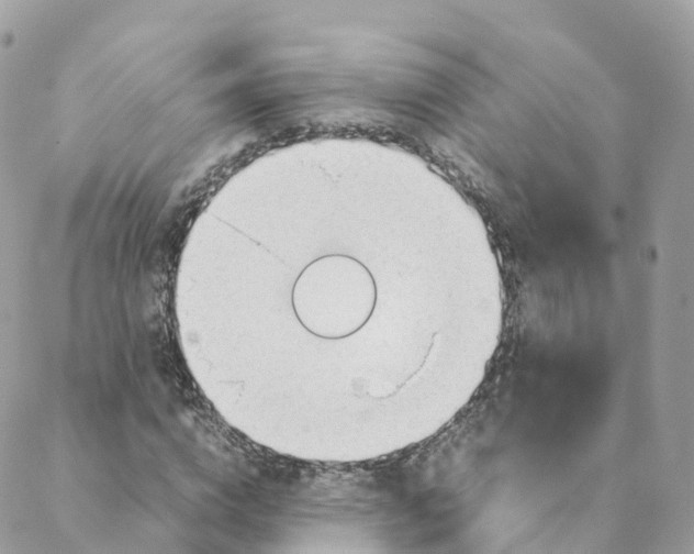 X0000088090824200706011601