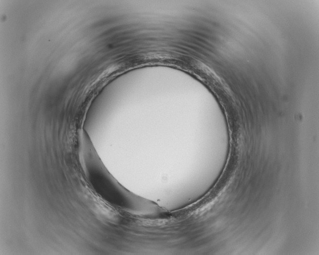 X0000088090825200706011601