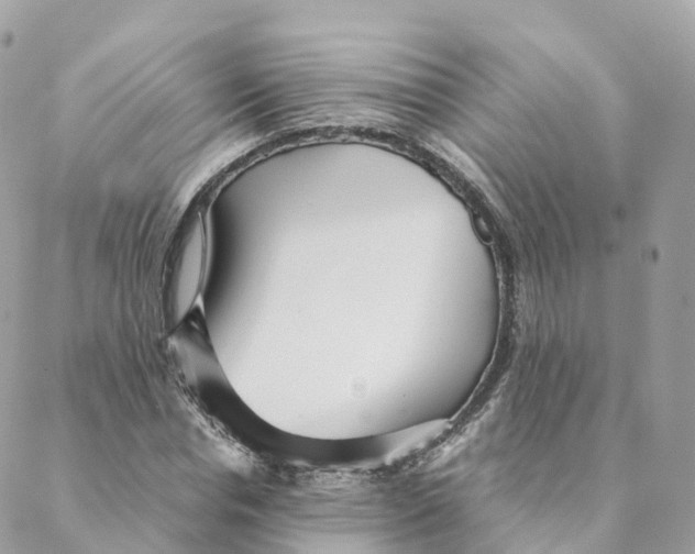 X0000088090826200706011601