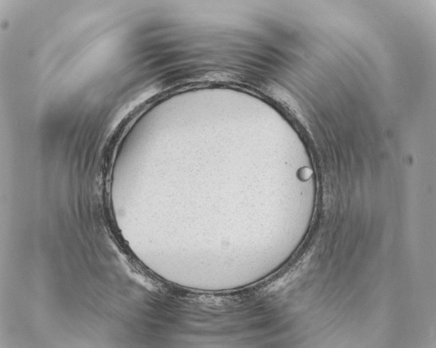 X0000088090827200706011601