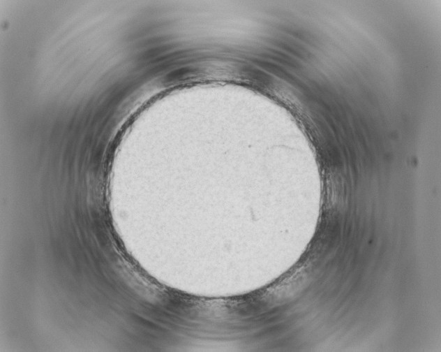 X0000088090828200706011601