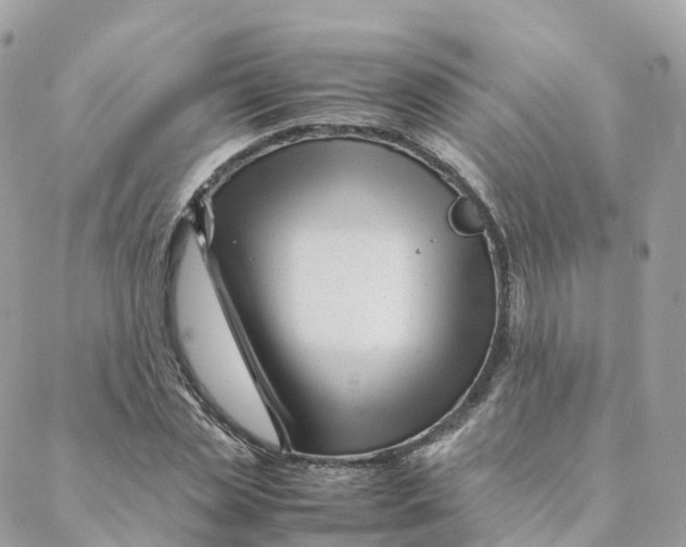 X0000088090829200706011601