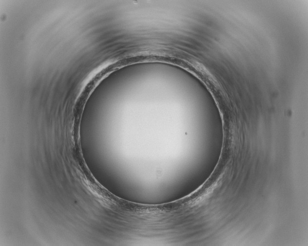 X0000088090830200706011601