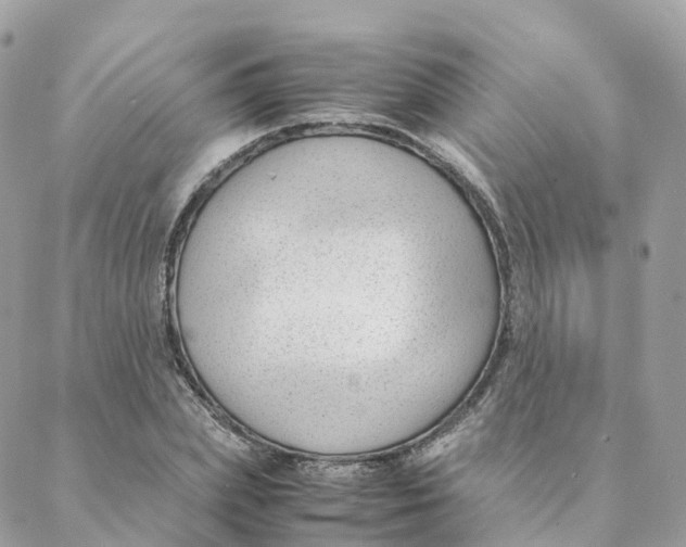 X0000088090831200706011601