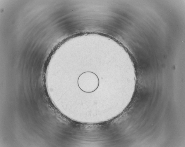 X0000088090832200706011601