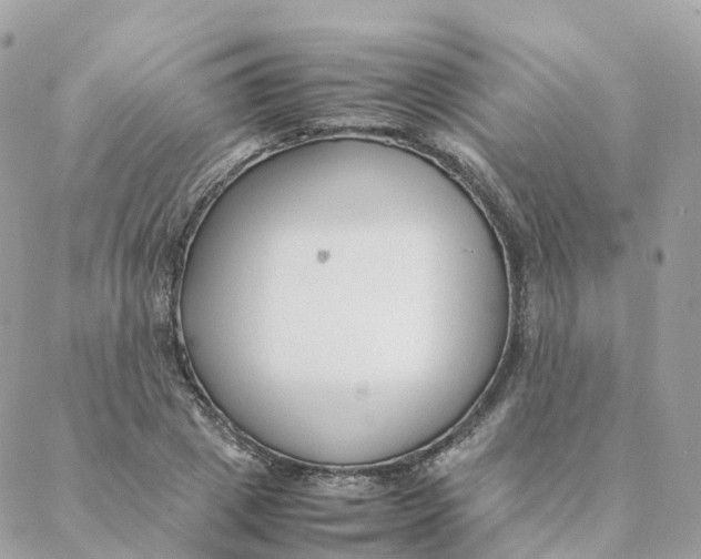 X0000088090833200706011601