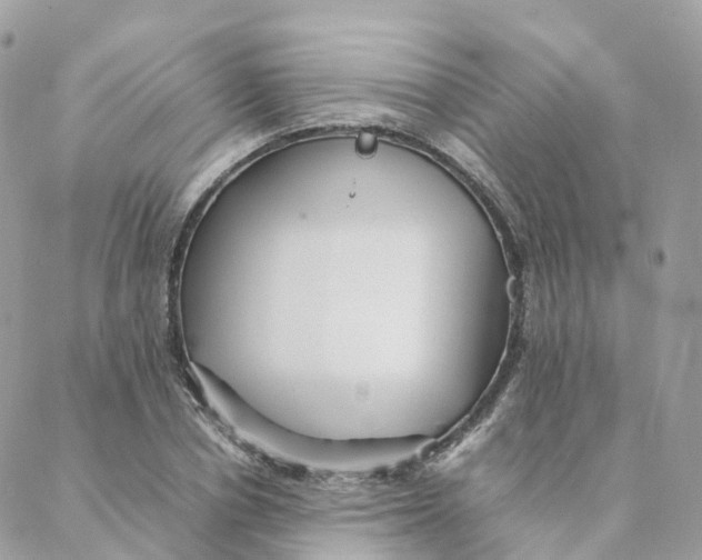 X0000088090834200706011601