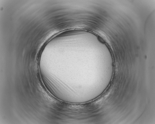 X0000088090835200706011601