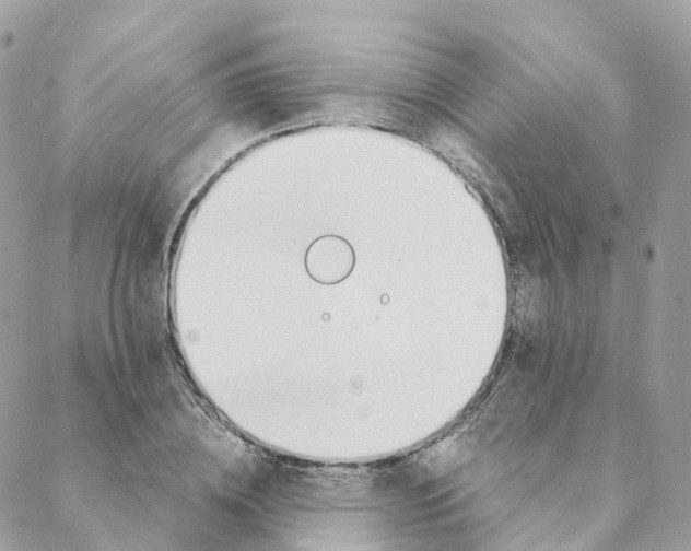 X0000088090836200706011601