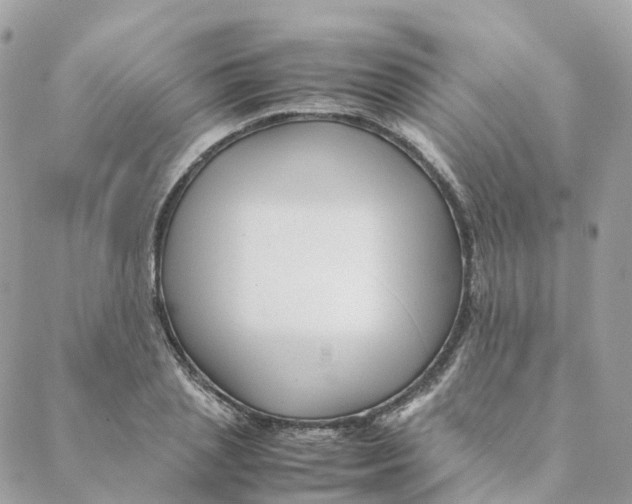 X0000088090837200706011601