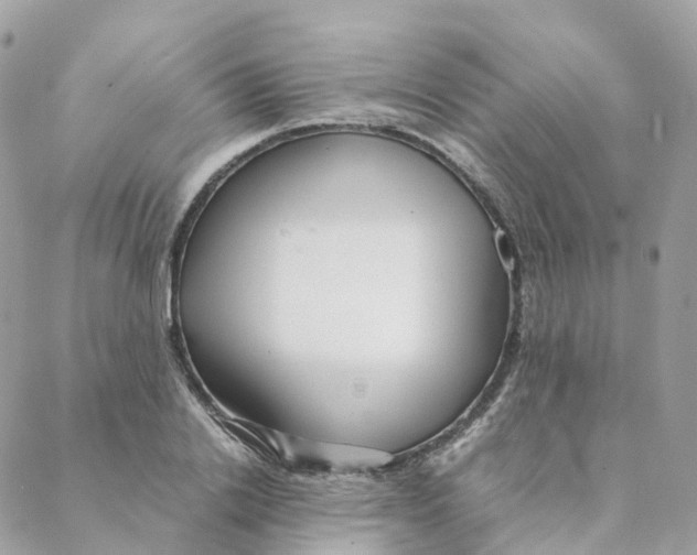 X0000088090838200706011601