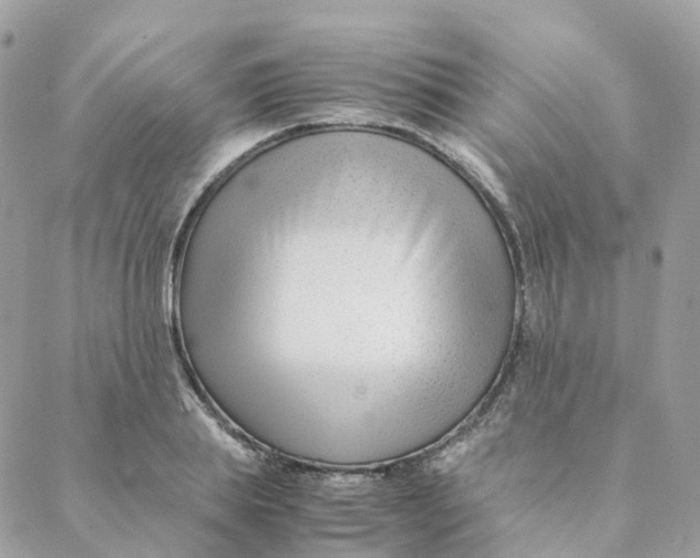 X0000088090839200706011601