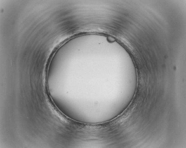 X0000088090840200706011601