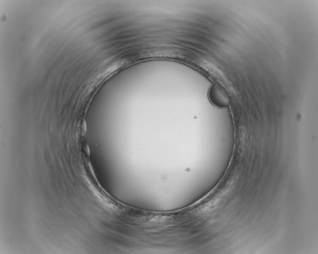 X0000088090841200706011601