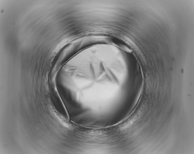 X0000088090842200706011601