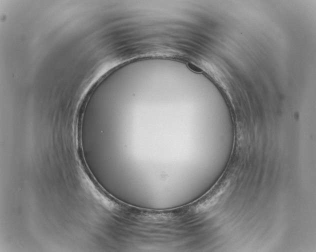 X0000088090843200706011601