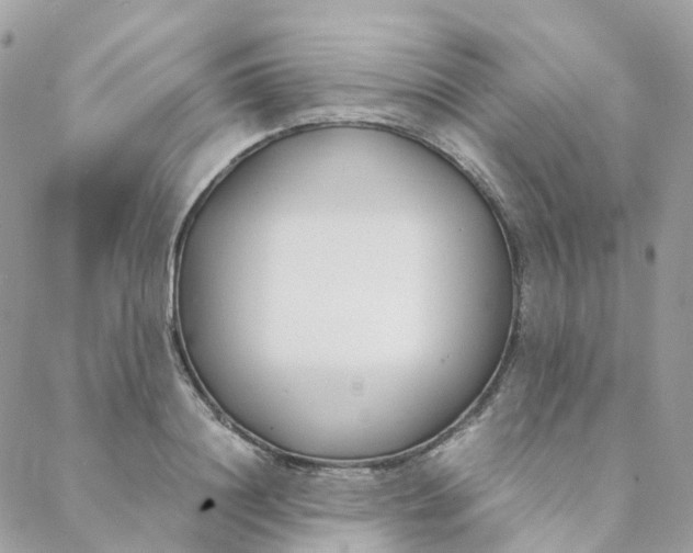 X0000088090844200706011601