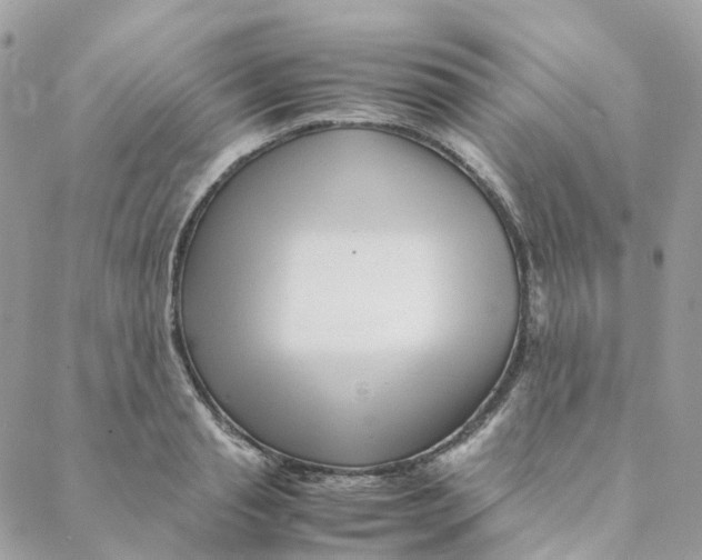 X0000088090845200706011602