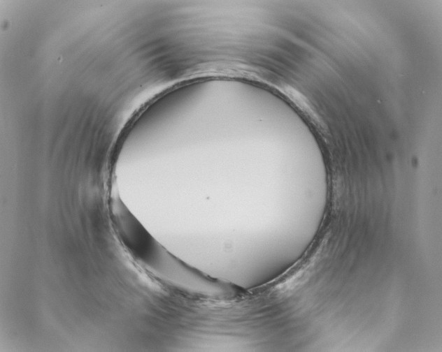 X0000088090846200706011602