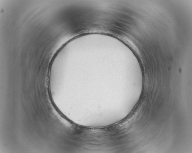 X0000088090847200706011602