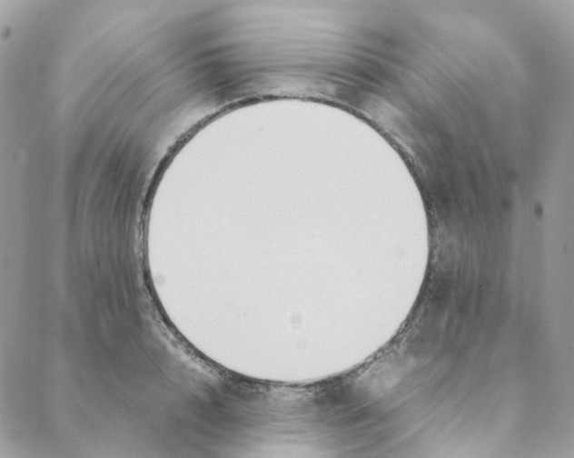 X0000088090848200706011602