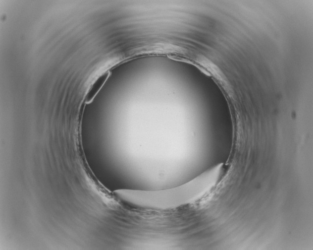 X0000088090850200706011602