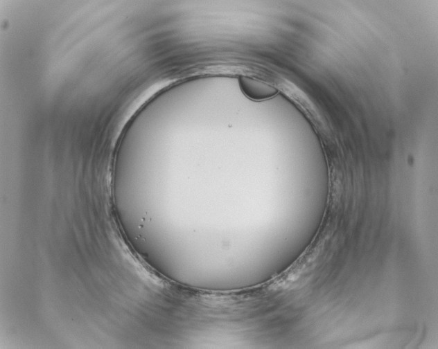 X0000088090852200706011602