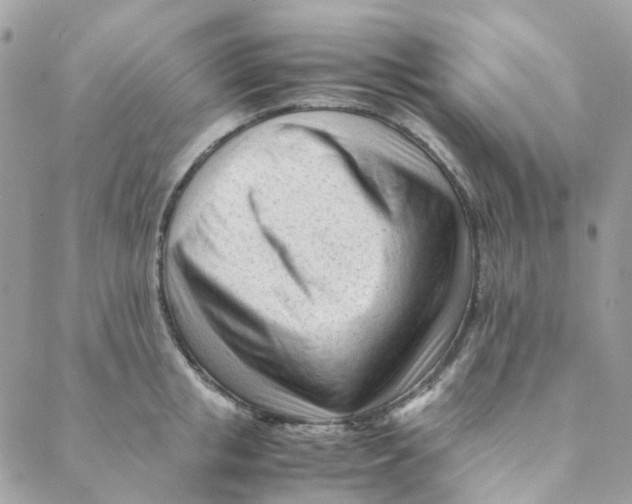 X0000088090853200706011602