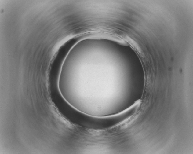 X0000088090854200706011602