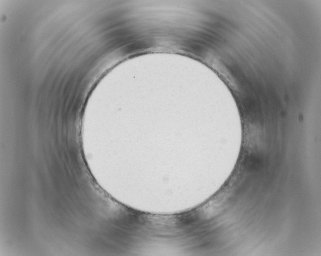 X0000088090856200706011602