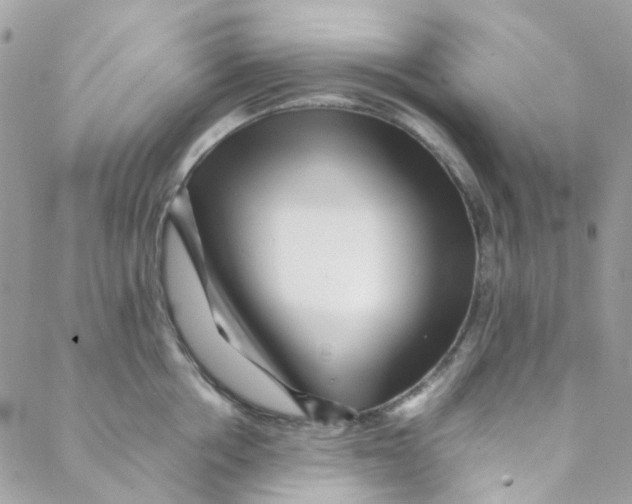 X0000088090858200706011602