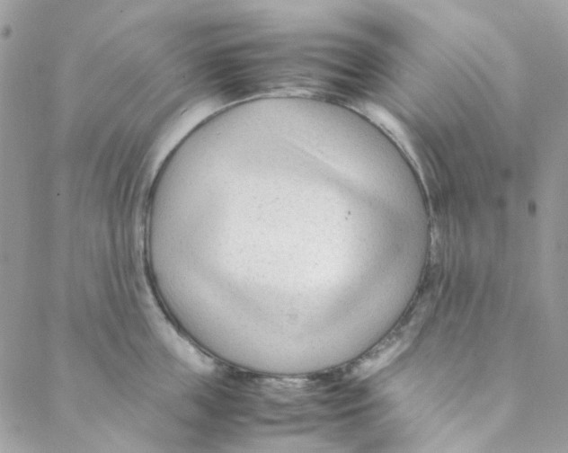 X0000088090859200706011602