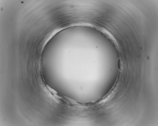 X0000088090860200706011602