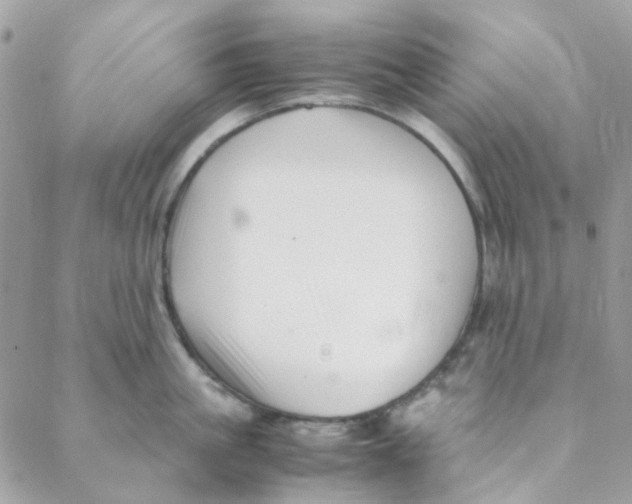 X0000088090861200706011602