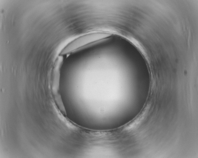 X0000088090862200706011602