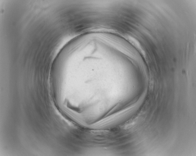 X0000088090863200706011602