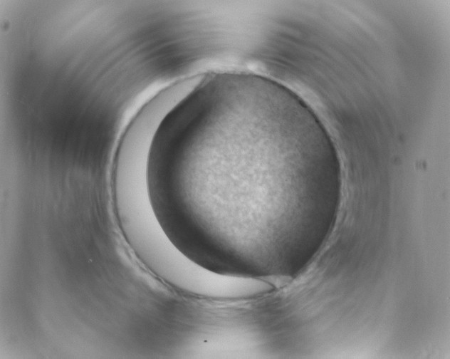 X0000088090864200706011602