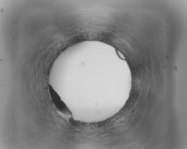 X0000088090865200706011601