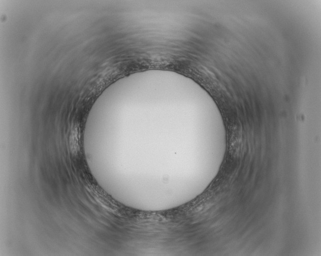 X0000088090866200706011601