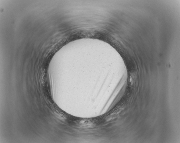 X0000088090867200706011601