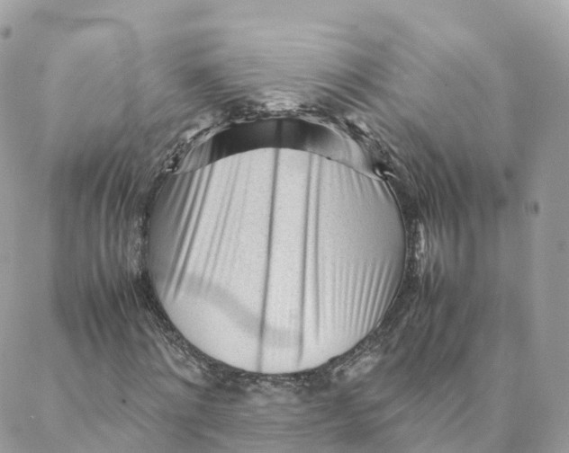 X0000088090868200706011601