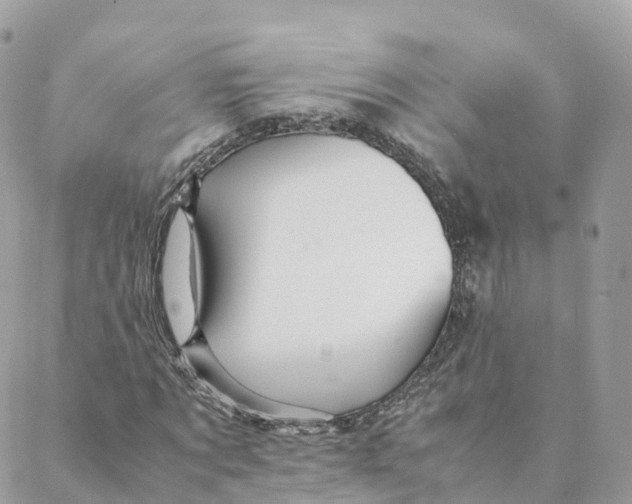 X0000088090869200706011601