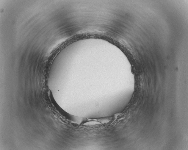 X0000088090872200706011601