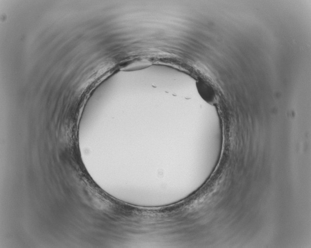 X0000088090873200706011601