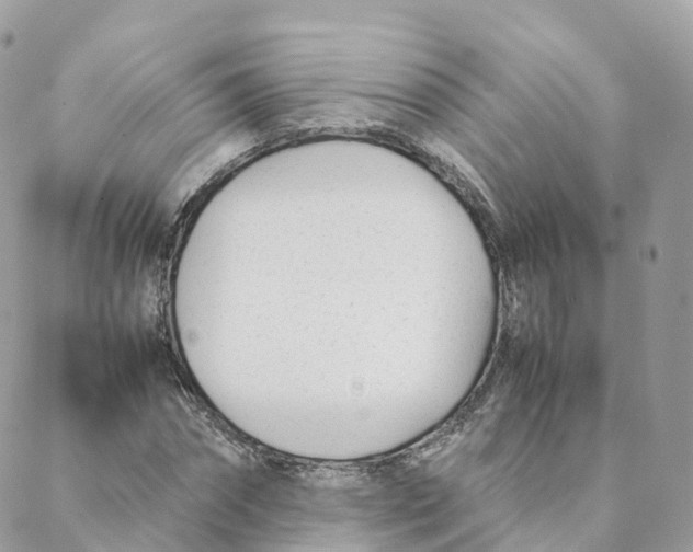 X0000088090874200706011601