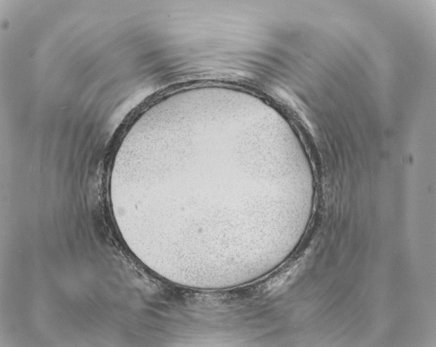 X0000088090875200706011601