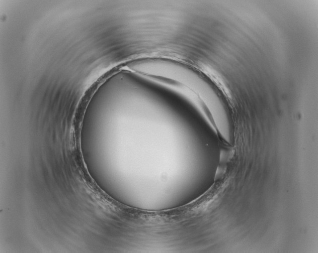 X0000088090876200706011601