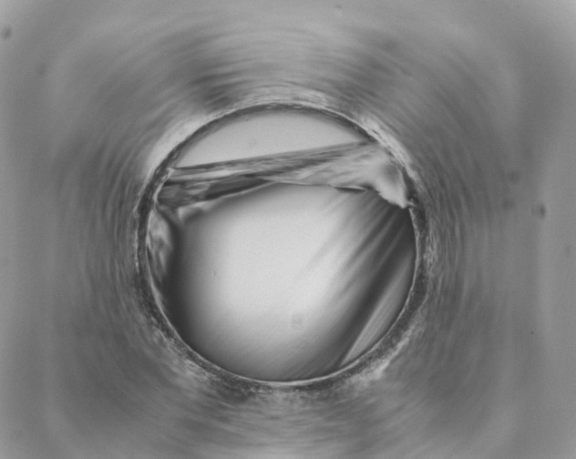 X0000088090877200706011601